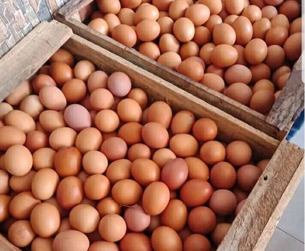 Pemerintah akan salurkan bansos dalam bentuk pangan seperti beras, telur dan ayam yang akan diberikan di bulan Maret sampai Mei 2023